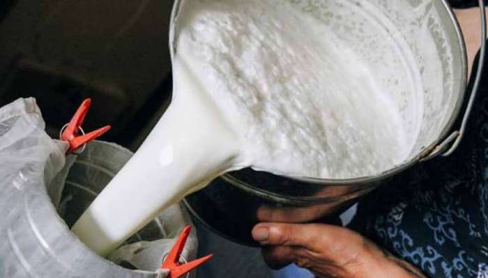 பெட்ரோல் விலையை பின்னுக்கு தள்ளிய பால் விலை.. 1 லிட்டர் ₹.140 மட்டும்! பெட்ரோல் விலையை பின்னுக்கு தள்ளிய பால் விலை.. 1 லிட்டர் ₹.140 மட்டும்!
