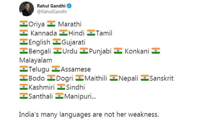 இந்தியாவில் பல மொழிகள் இருப்பது பலவீனம் இல்லை; பலம்: ராகுல் காந்தி title=