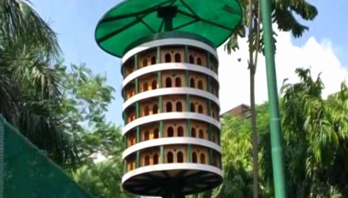 பறவைகளுக்கு என்றே பிரத்யேக பறவை பிளாட் காலனி உருவாக்காம்..! பறவைகளுக்கு என்றே பிரத்யேக பறவை பிளாட் காலனி உருவாக்காம்..!