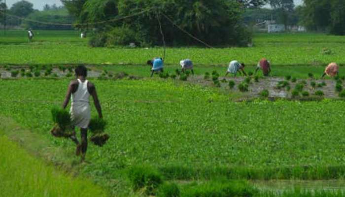 விவசாயம் செய்யும் விவசாயிகள் பிரச்சினைகளை தீர்ப்பதற்காக 2 மொபைல் APP விவசாயம் செய்யும் விவசாயிகள் பிரச்சினைகளை தீர்ப்பதற்காக 2 மொபைல் APP