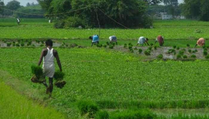 விவசாயம் செய்யும் விவசாயிகள் பிரச்சினைகளை தீர்ப்பதற்காக 2 மொபைல் APP