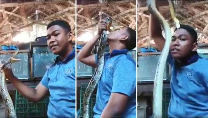 பாம்பை வேருப்பெத்திய சிறுவன்; காண்டில் தலையை கவ்விய பாம்பு..! பாம்பை வேருப்பெத்திய சிறுவன்; காண்டில் தலையை கவ்விய பாம்பு..!