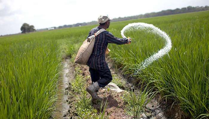 இந்தாண்டு உரத்திற்கான தேவை அதிகமாக இருக்கும் என கணிப்பு! title=