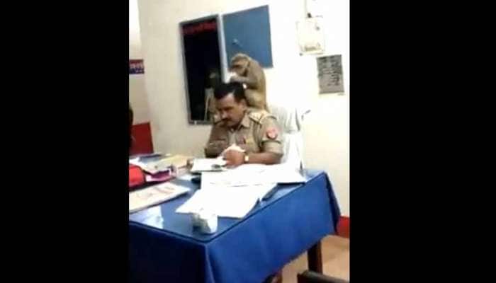 Watch: காவல் ஆய்வாளருக்கு இலவச ஹேர் மசாஜ் செய்யும் குரங்கு..! Watch: காவல் ஆய்வாளருக்கு இலவச ஹேர் மசாஜ் செய்யும் குரங்கு..!