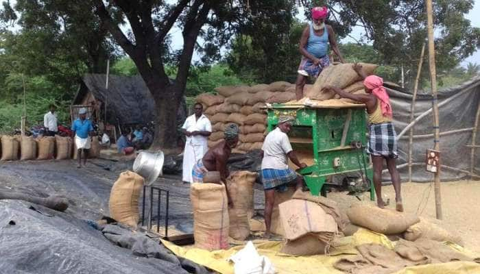 சத்தீஸ்கர் மாநிலத்தில் துவங்கியது நெல் கொள்முதல் விழா...