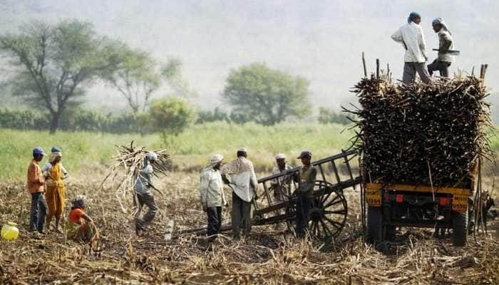 கரும்பு விவசாயத்தைக் காக்க கொள்கை தேவை -அன்புமணி!