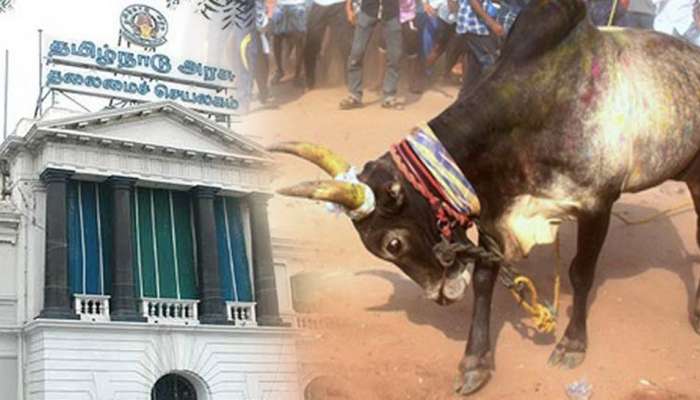 ஜனவரி 15 முதல் 31 வரை ஜல்லிக்கட்டு போட்டிகளை நடத்த தமிழக அரசு அனுமதி ஜனவரி 15 முதல் 31 வரை ஜல்லிக்கட்டு போட்டிகளை நடத்த தமிழக அரசு அனுமதி
