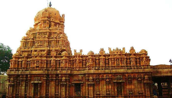 தஞ்சை பெரிய கோயில் குடமுழுக்கு விழாவில் சமஸ்கிருதத்திற்கு இணையாக தமிழுக்கும் முக்கியத்துவம் தஞ்சை பெரிய கோயில் குடமுழுக்கு விழாவில் சமஸ்கிருதத்திற்கு இணையாக தமிழுக்கும் முக்கியத்துவம்