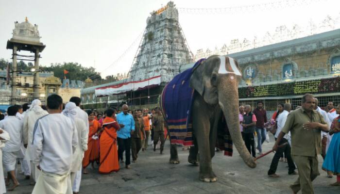 திருப்பதியில் கண்ணாடி பாட்டிலில் குடிநீர்! மக்கள் கருத்து என்ன? திருப்பதியில் கண்ணாடி பாட்டிலில் குடிநீர்! மக்கள் கருத்து என்ன?