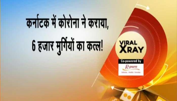 Amazing Viral X-Ray Video That Surprises You