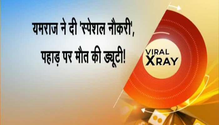 Viral X-Ray: Reality of Videos which goes Viral on Internet