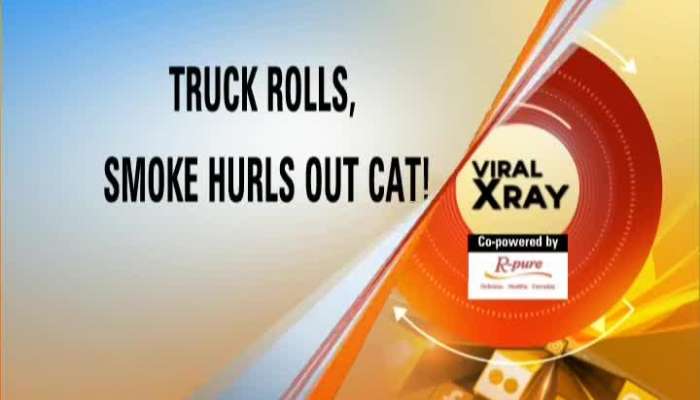 Viral X-Ray: Reality of Videos which goes Viral on Internet