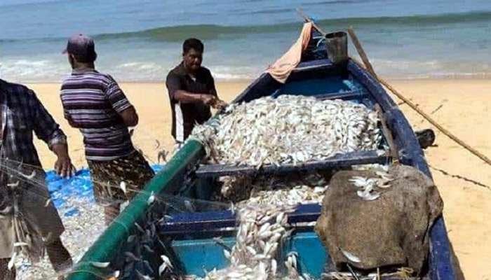 பாரம்பரிய படகுகள் மட்டும் மீன்பிடிக்க கடலுக்குள் செல்லலாம்... -tnGovt பாரம்பரிய படகுகள் மட்டும் மீன்பிடிக்க கடலுக்குள் செல்லலாம்... -tnGovt