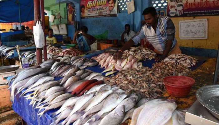 வரலாறு காணாத விலை ஏற்றத்தில் கடல் உணவு பொருட்கள்; காரணம் என்ன? வரலாறு காணாத விலை ஏற்றத்தில் கடல் உணவு பொருட்கள்; காரணம் என்ன?