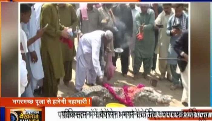 Pakistanis worshiping crocodiles to get rid of corona