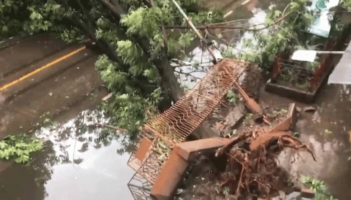 ஆம்பன் சூறாவளி: மேற்கு வங்கத்தில் 80க்கும் மேற்பட்டோர் மரணம்; கொல்கத்தாவில் 19 பலி ஆம்பன் சூறாவளி: மேற்கு வங்கத்தில் 80க்கும் மேற்பட்டோர் மரணம்; கொல்கத்தாவில் 19 பலி