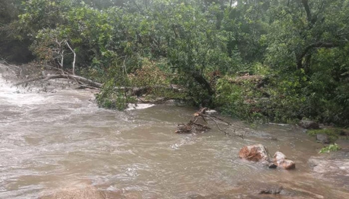 கேரளாவில் பலத்த மழை, நீரில் மூழ்கியிருக்கும் திருவனந்தபுரத்தின் பல பகுதிகள்