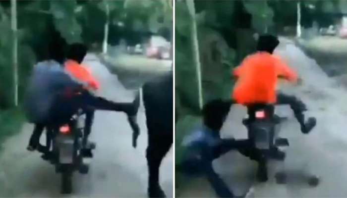 WATCH: தான் வினை தன்னை சுடும் என்பதை தெளிவாக நிரூபித்த வீடியோ... WATCH: தான் வினை தன்னை சுடும் என்பதை தெளிவாக நிரூபித்த வீடியோ...