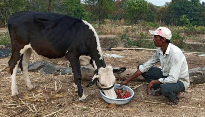 ஒவ்வொரு விவசாயிக்கும் ரூ.1.6 லட்சம் வட்டியில்லா கடன்; மத்திய அரசு திட்டம்!