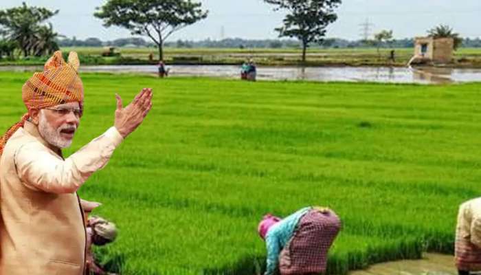 விவசாயிகளுக்கு நல்ல செய்தி..!! PM Kisan Yojana மூலம் ஆண்டுக்கு 6000 ரூபாய் பெறுவது எளிது விவசாயிகளுக்கு நல்ல செய்தி..!! PM Kisan Yojana மூலம் ஆண்டுக்கு 6000 ரூபாய் பெறுவது எளிது