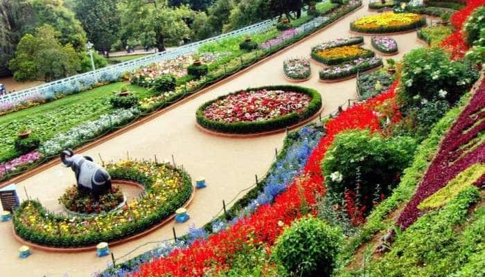 virtual flower showவாக மக்களைக் கவரும் 124வது ஊட்டி மலர் கண்காட்சி