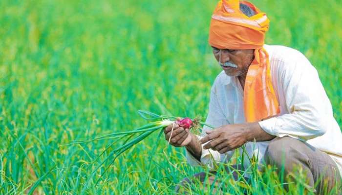 5,000 பேருக்கு வேலை வாய்ப்பு... 25,000 விவசாயிகளுக்கு பயனளிக்கும் அரசின் புதிய திட்டம்!! 5,000 பேருக்கு வேலை வாய்ப்பு... 25,000 விவசாயிகளுக்கு பயனளிக்கும் அரசின் புதிய திட்டம்!!