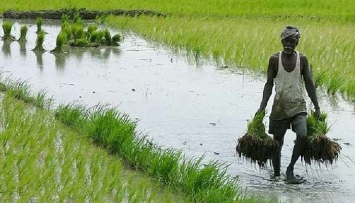 PM KISAN: ஆக., 1 முதல் விவசாயிகளின் கணக்கில் ₹.2000 செலுத்தபடும்! PM KISAN: ஆக., 1 முதல் விவசாயிகளின் கணக்கில் ₹.2000 செலுத்தபடும்!