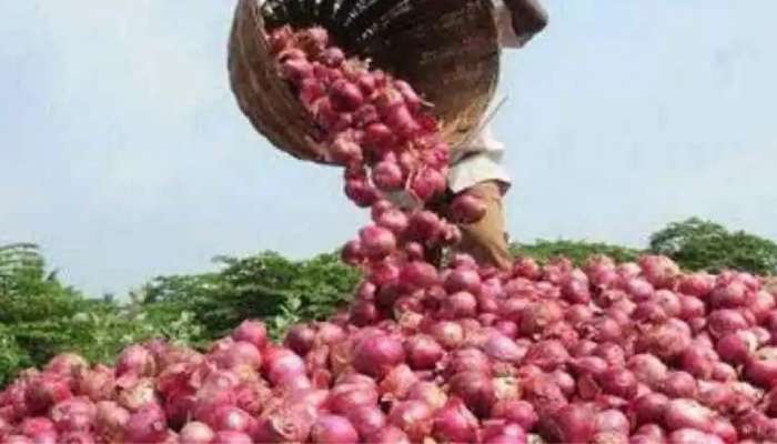 இந்த ஆண்டு வெங்காயத்தின் விலை உங்களை அழ வைக்காது: அரசாங்கம் எடுத்துள்ள அதிரடி நடவடிக்கைகள்!! இந்த ஆண்டு வெங்காயத்தின் விலை உங்களை அழ வைக்காது: அரசாங்கம் எடுத்துள்ள அதிரடி நடவடிக்கைகள்!!