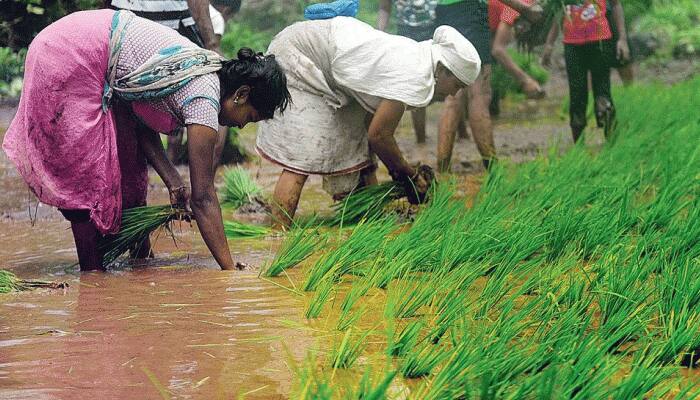 பயிர்களுக்கு சிறந்த விலை, விவசாயிகளுக்கு ஒரு லட்சம் கோடி பரிசு: பிரதமர் மோடி அறிவிப்பு பயிர்களுக்கு சிறந்த விலை, விவசாயிகளுக்கு ஒரு லட்சம் கோடி பரிசு: பிரதமர் மோடி அறிவிப்பு