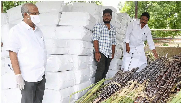 12 டன் கரும்புகளை &#039;SV Goshala&#039;வுக்கு நன்கொடையாக அளித்தனர் TTD ஊழியர்