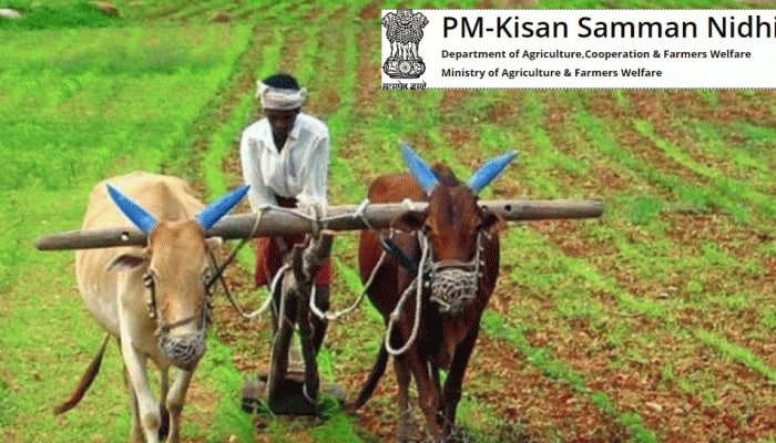 PM Kisan Yojana: மொபைலில் இருந்து எப்படி விண்ணப்பிக்கலாம்? என்னென்ன ஆவணங்கள் தேவை title=