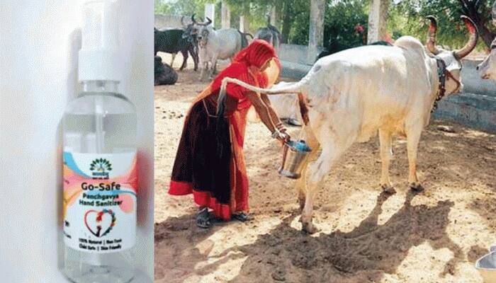 Cow urine Hand sanitizers: கோமியம் சானிட்டிசர்...கொரோனா பரவலை தடுக்குமா? Cow urine Hand sanitizers: கோமியம் சானிட்டிசர்...கொரோனா பரவலை தடுக்குமா?