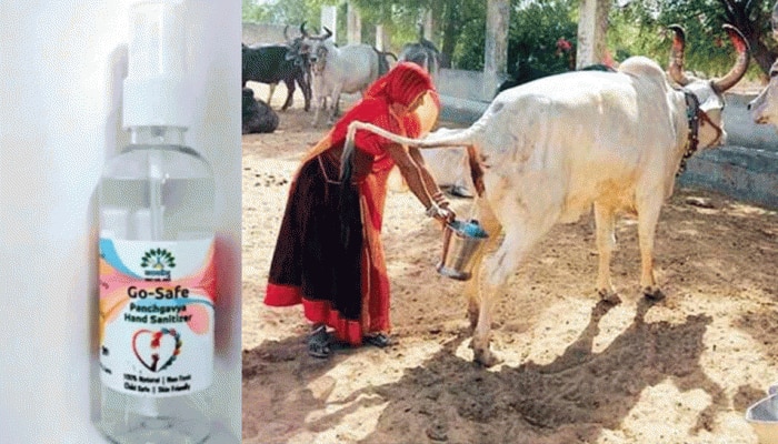 Cow urine Hand sanitizers: கோமியம் சானிட்டிசர்...கொரோனா பரவலை தடுக்குமா?