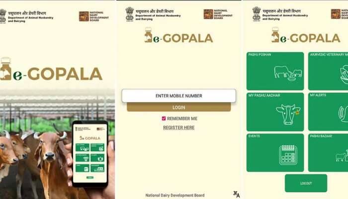 e-Gopala App: கால்நடை வளர்ப்பு தொடர்பான அனைத்து தகவலும் ஒரு நிமிடத்தில்!! e-Gopala App: கால்நடை வளர்ப்பு தொடர்பான அனைத்து தகவலும் ஒரு நிமிடத்தில்!!
