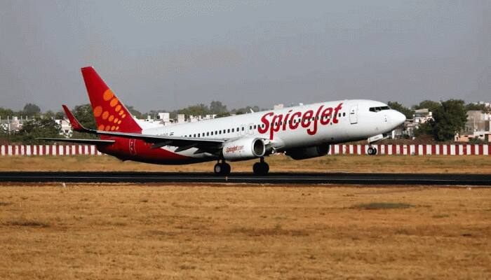 SpiceJet தினசரி விமான சேவை அறிமுகம்....எந்த நகரங்கள் இதில் அடங்கும்? SpiceJet தினசரி விமான சேவை அறிமுகம்....எந்த நகரங்கள் இதில் அடங்கும்?