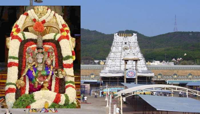 திருப்பதி பிரம்மோத்சவம் இந்த ஆண்டு எப்படி கொண்டாடப்படுகிறது? தெரியுமா? திருப்பதி பிரம்மோத்சவம் இந்த ஆண்டு எப்படி கொண்டாடப்படுகிறது? தெரியுமா?