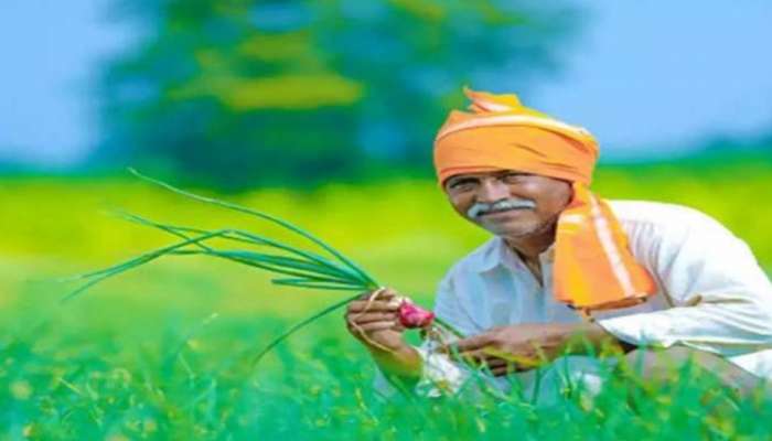 PM Kisan திட்டத்தின் கீழ் இந்த மாநில விவசாயிகளுக்கு மட்டும் 10,000 ரூபாய் கிடைக்கும்: விவரம் உள்ளே!!