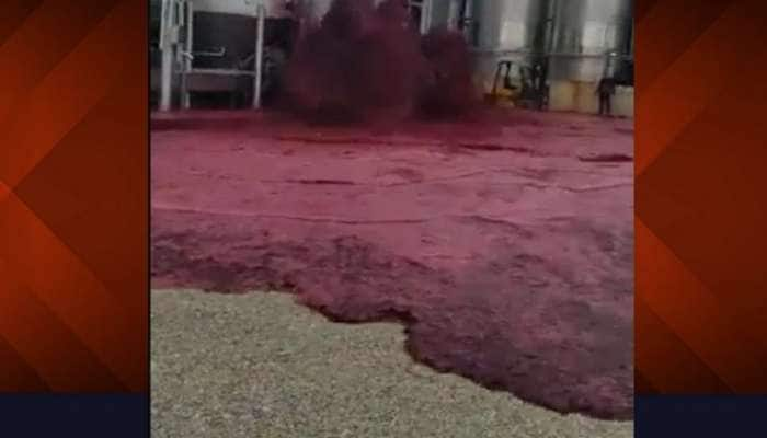 வெள்ளமாய் ஓடி வீணாகும் Red Wine: Viral Video-வைப் பார்த்து ஆதங்கத்தில் ‘குடி’மகன்கள்!!