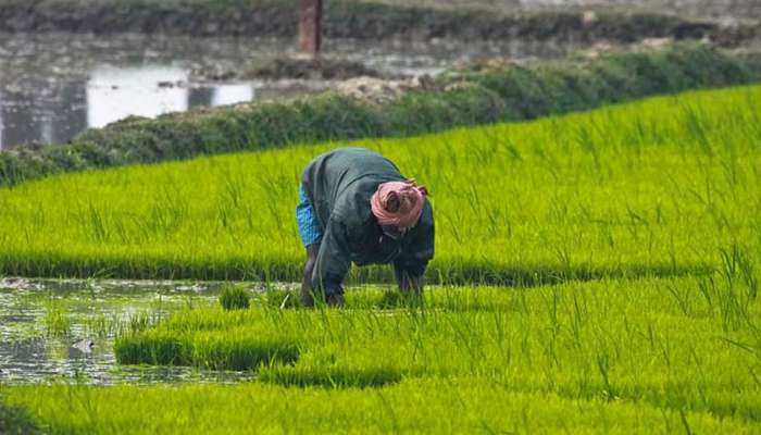 விவசாயிகளுக்கு நிவாரணம்... DAP, NPK உரங்களின் விலை உயராது - IFFCO title=