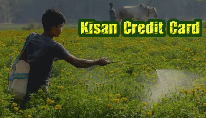 Kisan Credit Card பெற இந்த ஆவணங்களைப் பயன்படுத்தவும்; உடனடியாக உங்களுக்கு கிடைக்கும்