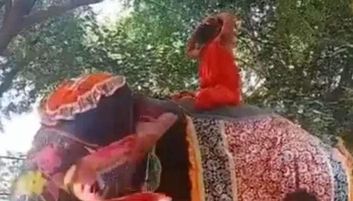 Viral Video: யானையின் மீது யோகா செய்யும் போது கீழே விழுந்த ராம்தேவ்..! Viral Video: யானையின் மீது யோகா செய்யும் போது கீழே விழுந்த ராம்தேவ்..!