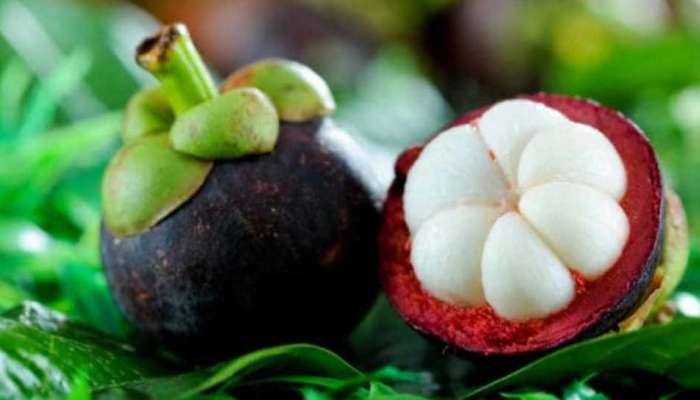 Do you know the diseases which Mangosteen can defeat? | ஊட்டச்சத்துக்கள்  நிறைந்த மங்குஸ்தான் பழம் தீர்க்கும் நோய்கள் எவை தெரியுமா?| News in Tamil