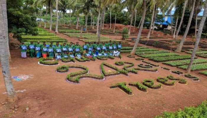 “மரம் நட விரும்பு” – மர ஆர்வலர்களுக்கு களம் அமைத்து கொடுக்கும் ஈஷா..! title=