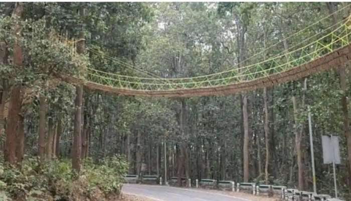 Eco Bridge: விலங்குகள் சாலையை கடக்க உதவும் பாதுகாப்புப் பாலம்