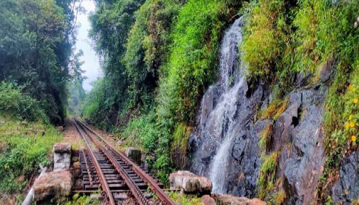 Ooty Train: மீண்டும் சேவையைத் தொடங்கிய Queen of hills மலை ரயிலில் பயணிப்போமா?