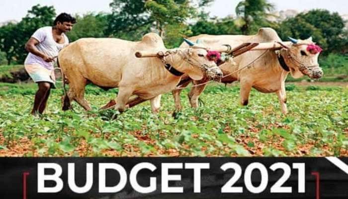 Budget 2021: விவசாயிகளுக்கு நற்செய்தியை ஏந்தி வருகிறது பட்ஜெட், PM Kisan தொகை உயரக்கூடும்