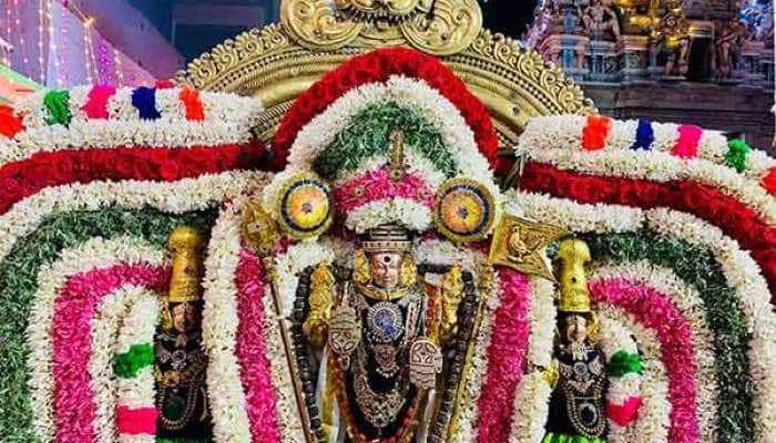 தைப்பூசத்தை முன்னிட்டு பழனி முருகன் கோவில் தேர்த் திருவிழா