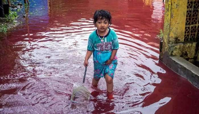 Red Flood: இந்த குருதிப்புனலுக்கு காரணம் என்ன? அதிர்ச்சி ஏற்படுத்தும் இந்தோனேசியா  