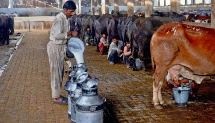 Milk Price Hike: LPG, பெட்ரோல், டீசல் விலையை தொடர்ந்து உயரும் பால் விலை! title=