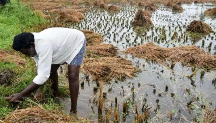 PM Kisan இன் தவணை குறித்து Big News வெளியீடு, இவர்களுக்கும் 2000 ரூபாய் கிடைக்கும்! title=